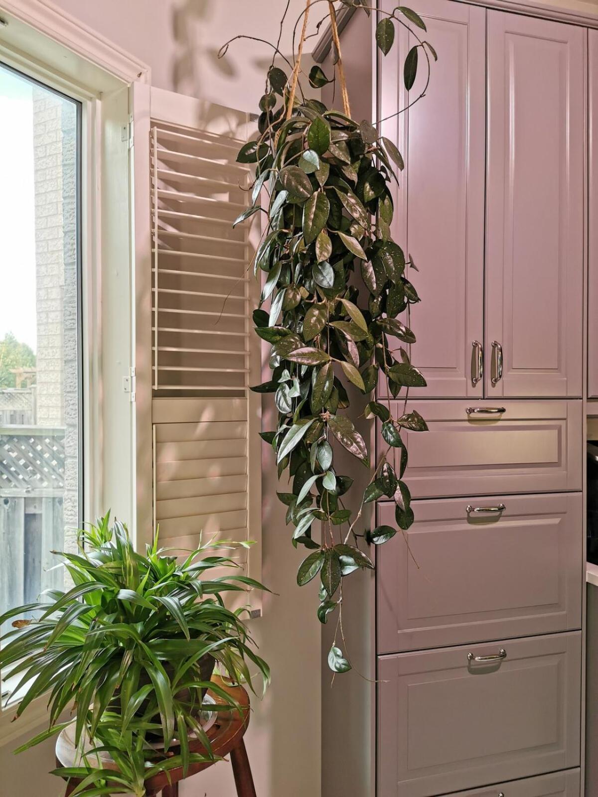 4 Bedroom 3 Washroom Charming Home In Markham With Warm Cozy Vibe المظهر الخارجي الصورة